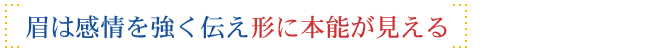 眉は感情を強く伝え形に本能が見える